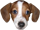 :FrankerZ: