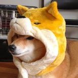 Seabear