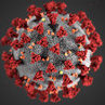 Wuhan Flu