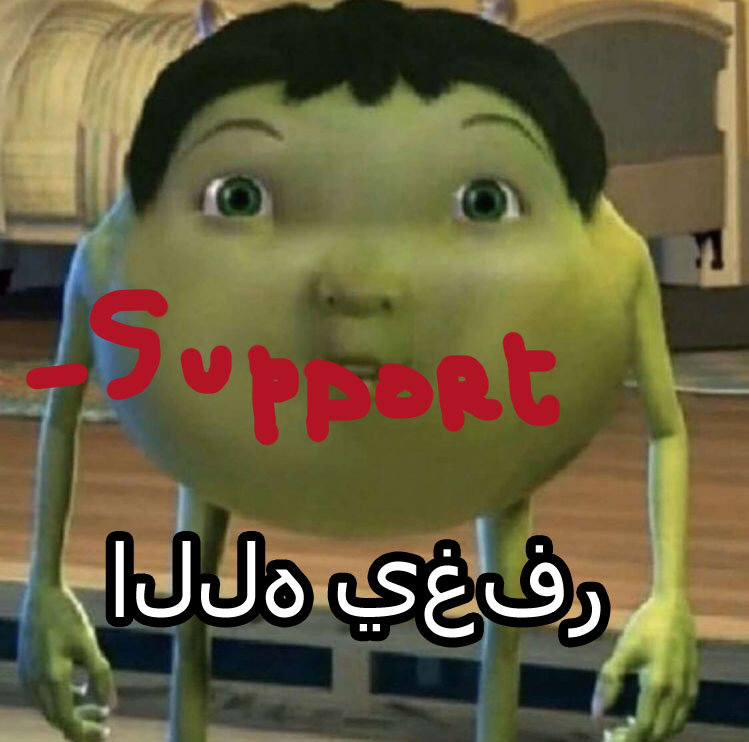 -support.jpg.ed69f8ca6a64f0e8f213ac2f7851fd75.jpg