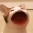 BeepPeep