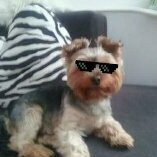 Kacper_07