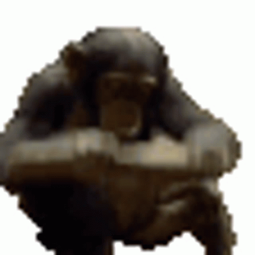mods.gif.e1a6109b01005d8331a5ce8f79a07679.gif