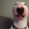 Walter