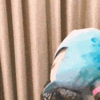 hatsune-miku-vocaloid.gif.a6cb48a8e94a8a90f4492a51654d8794.gif