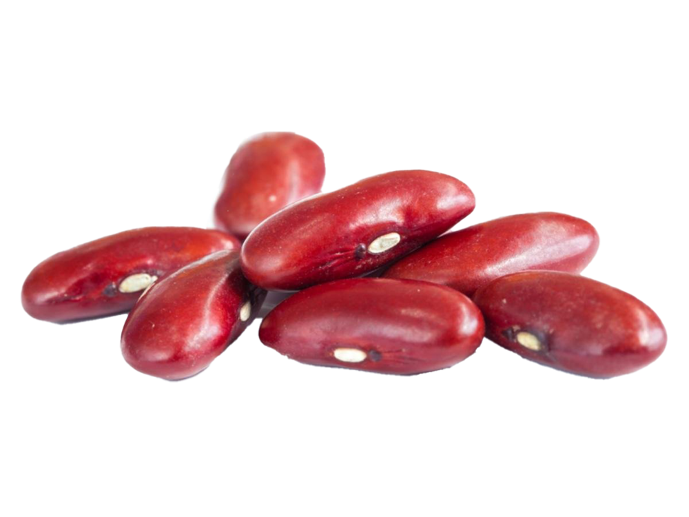 Red-Kidney-Beans-PNG-Clipart.thumb.png.761ea0e536fcf22f4d0d942520fda804.png