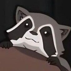 RaccoonUWU
